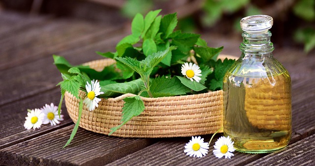 herbs natural medicine